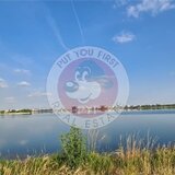 Lacul Morii  Teren  10000mp  intravilan  toate utilitatile | B3894